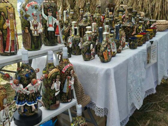 A X-a ediție a Festivalului Zemii